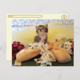 Postüberquerung Ballerina Katze / Kätzchen Postkar Postkarte