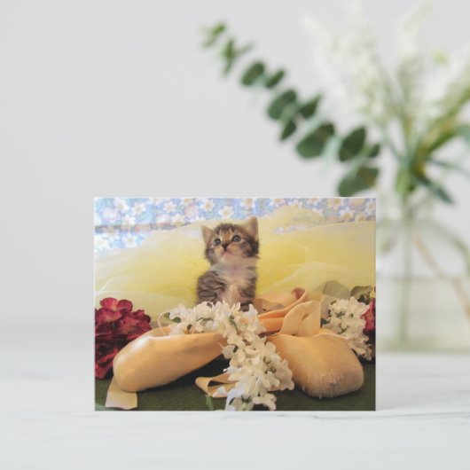 Postüberquerung Ballerina Katze / Kätzchen Postkar Postkarte (Stehend Vorderseite)