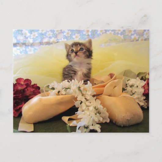 Postüberquerung Ballerina Katze / Kätzchen Postkar Postkarte (Vorderseite)