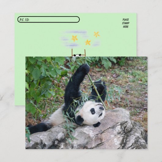 Postüberquerung Bild eines Riesenpanda Postkarte (Vorne/Hinten)