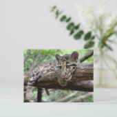 Postüberquerung Bild von getrübtem Leoparden Cub Postkarte (Stehend Vorderseite)