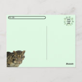 Postüberquerung Bild von getrübtem Leoparden Cub Postkarte (Rückseite)