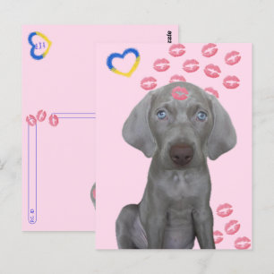 Postüberquerung - Brooklyn, die Hundeküsse Postkar Postkarte