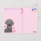 Postüberquerung - Brooklyn, die Hundeküsse Postkar Postkarte (Rückseite)