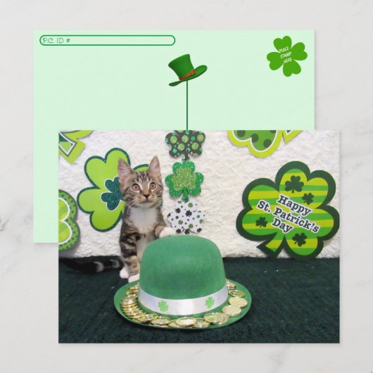 Postüberquerung - Der St. Patrick's Day der Katze Postkarte (Vorne/Hinten)