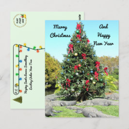 Postüberquerung - Florida Gator Weihnachtsbaum Postkarte