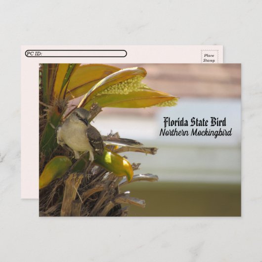 Postüberquerung - Florida Staat Bird Postcard Postkarte (Vorne/Hinten)