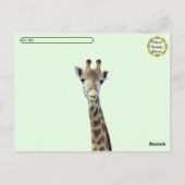 Postüberquerung Funny Giraffe Hintern Postkarte (Rückseite)