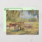 Postüberquerung = Fütternd Station 2 Pferde und Do Postkarte (Vorne/Hinten)