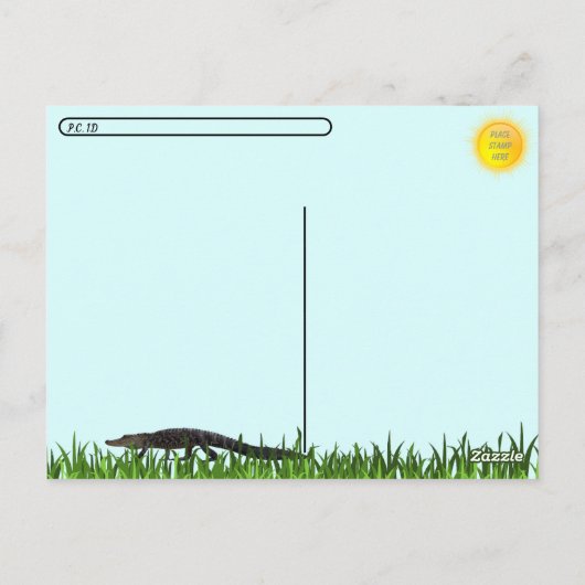 Postüberquerung - Gruß von Florida Alligator Postkarte (Rückseite)
