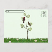 Postüberquerung - Kardinal Postkarte (Rückseite)