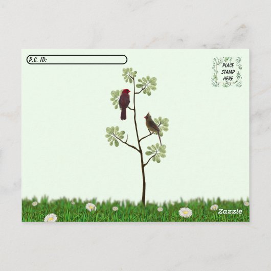 Postüberquerung - Kardinal Postkarte (Rückseite)