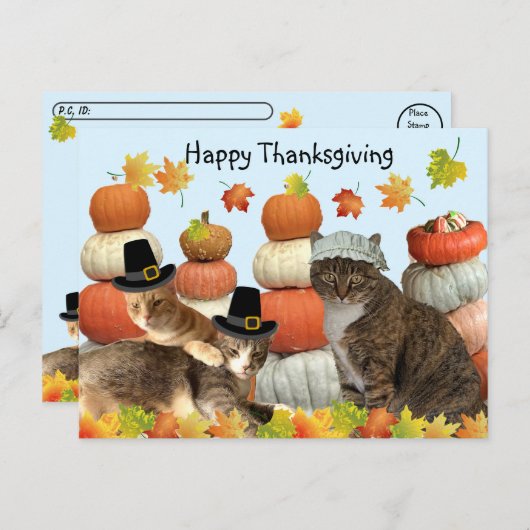 Postüberquerung - Katzen, Pumpkins und Herbstlaube Postkarte (Vorne/Hinten)