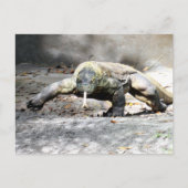 Postüberquerung - Komodo Dragon kommt für Sie Postkarte (Vorderseite)