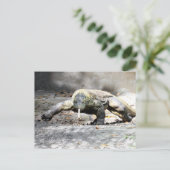 Postüberquerung - Komodo Dragon kommt für Sie Postkarte (Stehend Vorderseite)