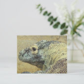 Postüberquerung - Komodo Dragon Postkarte (Stehend Vorderseite)