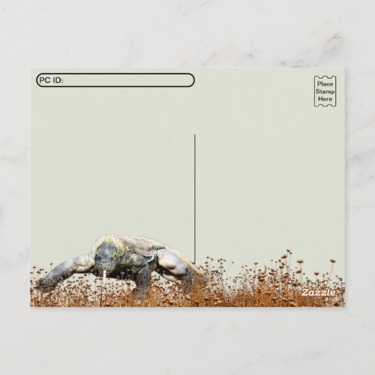 Postüberquerung - Komodo Dragon Postkarte (Rückseite)