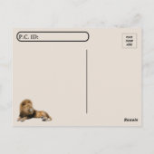 Postüberquerung - Lion Sleep, bis Sie Hungrigem Zi Postkarte (Rückseite)