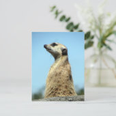 Postüberquerung - Meerkat auf Patrol Grußkarte Postkarte (Stehend Vorderseite)