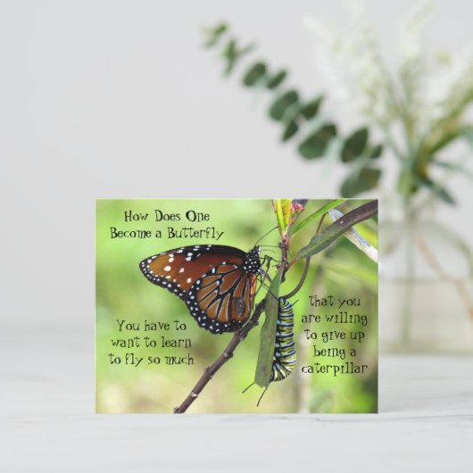 Postüberquerung - Monarchschmetterling und Raupe Postkarte (Stehend Vorderseite)