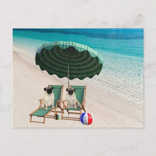 Postüberquerung - Mops am Strand Postkarte (Vorderseite)