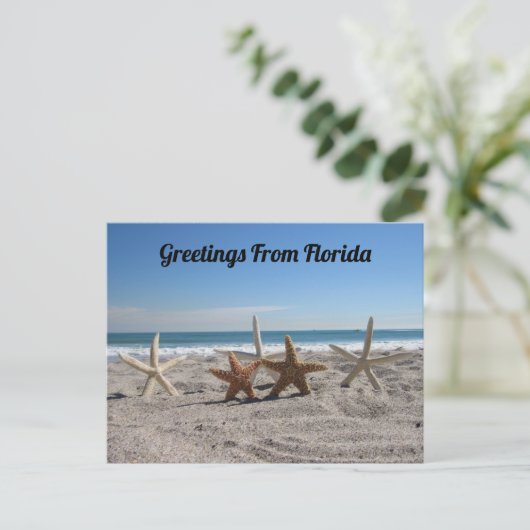 Postüberquerung - Muscheln am Strand Postkarte (Stehend Vorderseite)