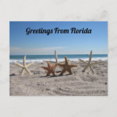 Postüberquerung - Muscheln am Strand Postkarte (Vorderseite)