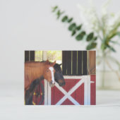 Postüberquerung - Pferde an der stabilen Postkarte (Stehend Vorderseite)