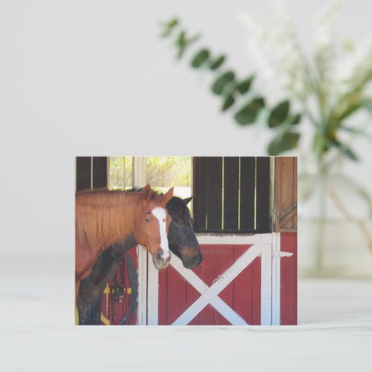 Postüberquerung - Pferde an der stabilen Postkarte (Stehend Vorderseite)