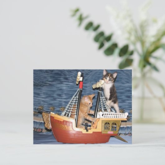Postüberquerung - Pirate Kittens - Katze / Kitten Postkarte (Stehend Vorderseite)