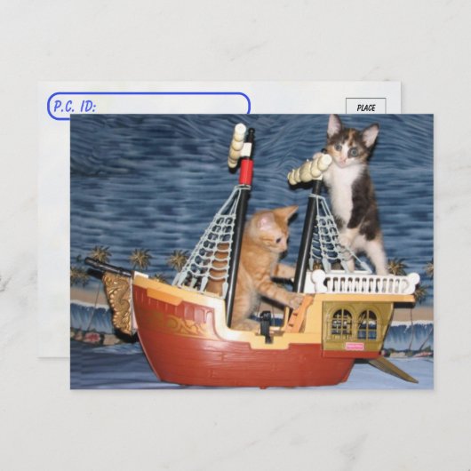 Postüberquerung - Pirate Kittens - Katze / Kitten Postkarte (Vorne/Hinten)