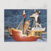 Postüberquerung - Pirate Kittens - Katze / Kitten Postkarte (Vorderseite)