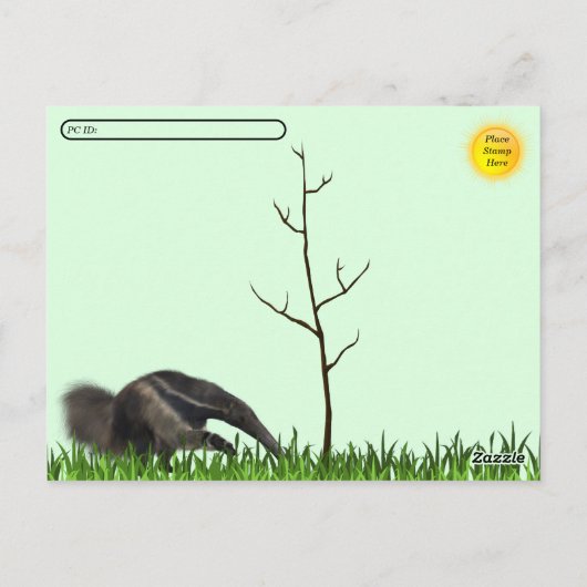 Postüberquerung Riesenspater Postkarte (Rückseite)