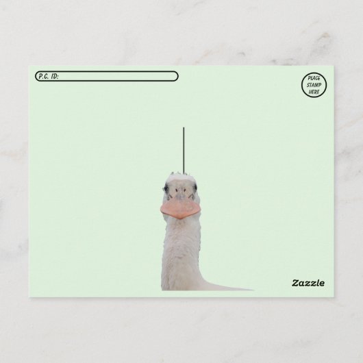 Postüberquerung - Rosate Spoonbill Chicks Postkarte (Rückseite)