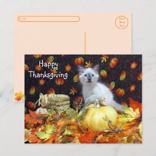 Postüberquerung - Savannah Siamese Cat's Erntedank Postkarte