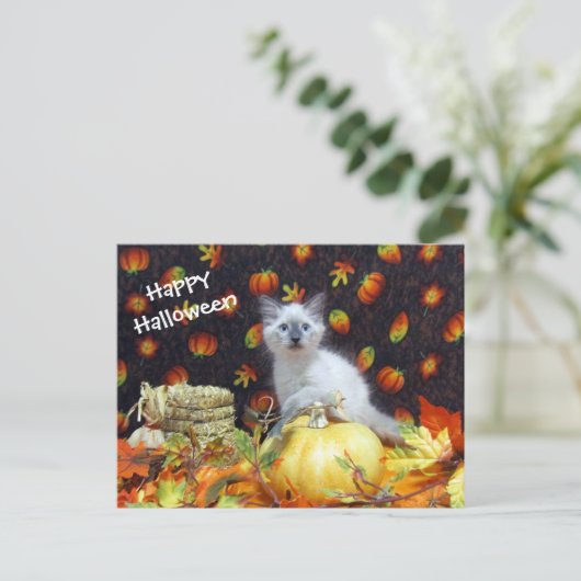 Postüberquerung - Savannahs Halloween Postkarte -  (Stehend Vorderseite)