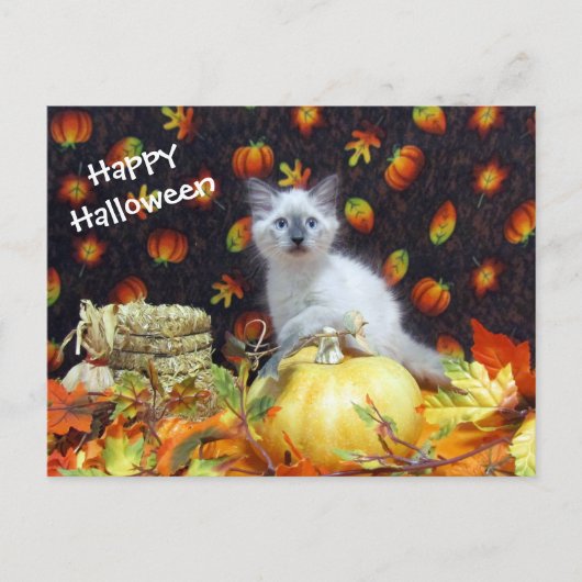 Postüberquerung - Savannahs Halloween Postkarte - (Vorderseite)
