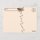 Postüberquerung - Schlafkätzchen Taz und Tito Cat Postkarte (Rückseite)