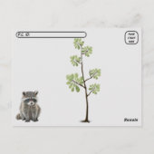 Postüberquerung Schlafracoon Postkarte (Rückseite)