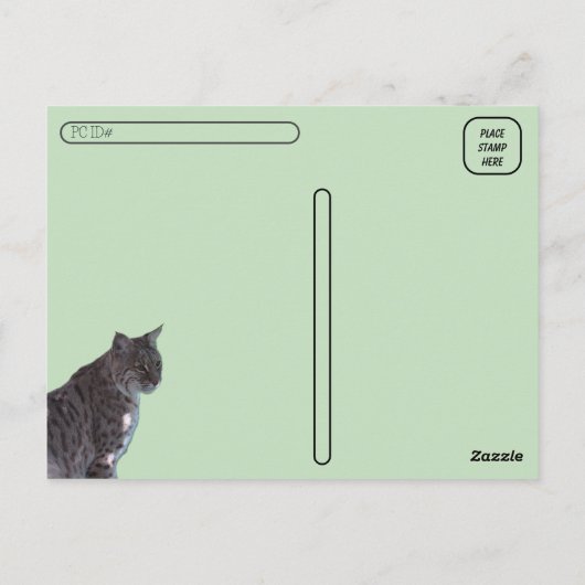 Postüberquerung - Schöner Bobcat auf einem Feld Postkarte (Rückseite)