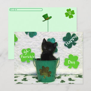 Postüberquerung Schöner Jack = Katze St. Patrick's Postkarte