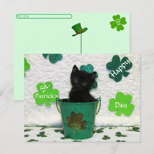 Postüberquerung Schöner Jack = Katze St. Patrick's Postkarte (Vorne/Hinten)