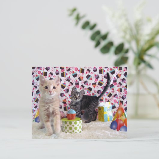 Postüberquerung - schönste Geburtstage - Katze Postkarte (Stehend Vorderseite)