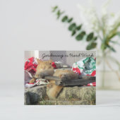 Postüberquerung - Simba, die Postkarte der Katze (Stehend Vorderseite)