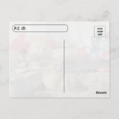 Postüberquerung - Simba, die Postkarte der Katze (Rückseite)