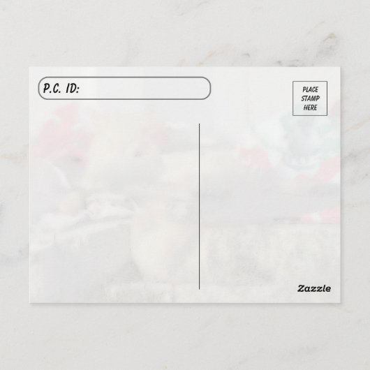 Postüberquerung - Simba, die Postkarte der Katze (Rückseite)