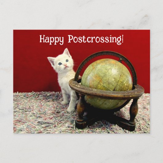 Postüberquerung - Tuffy McDuff rund um die Weltkat Postkarte (Vorderseite)