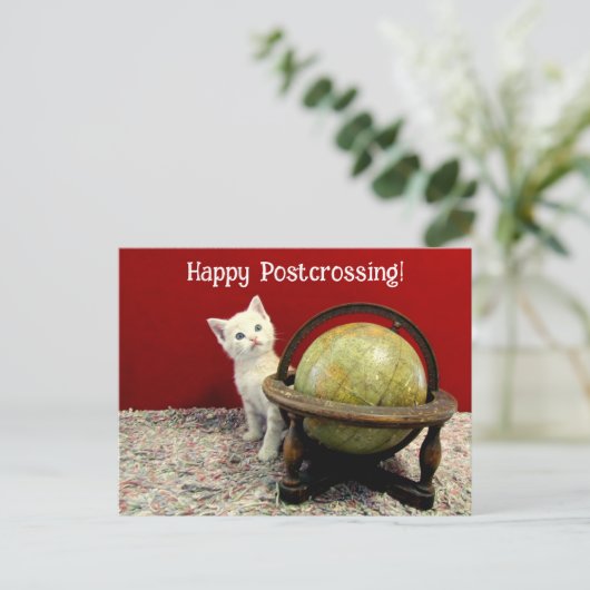 Postüberquerung - Tuffy McDuff rund um die Weltkat Postkarte (Stehend Vorderseite)