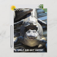 Postüberquerung - Ultimate Florida Tourist Postkar