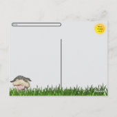 Postüberquerung - Ultimate Florida Tourist Postkar Postkarte (Rückseite)